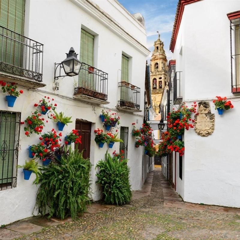 El Patio De San Miguel Apartment Cordoba Ngoại thất bức ảnh